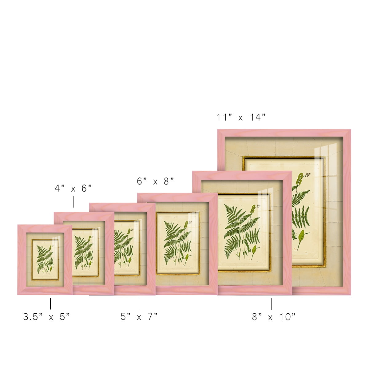 Fern with Crackle Mat (H) IV - Framed Print w/glass - Sunset Pink