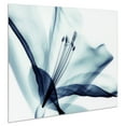 thumbnail image 3 of Empire Art Direct Amaryllis Frameless Free Floating Tempered Glass Panel Graphic Wall Art, 32" x 48" x 0.2", Ready to Hang, 3 of 12
