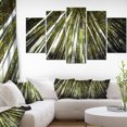thumbnail image 1 of Long Bamboos in Bamboo Forest, 1 of 3