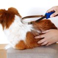 thumbnail image 3 of Fairnull Pet Hair Remover Ergonomic Handle Pet Grooming Tool Dog Shedding Brush Effective Hair Remover Pet Supply, 3 of 10
