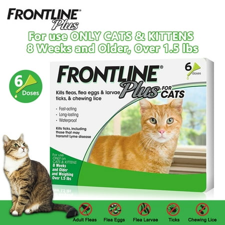 Merial Frontline Plus Flea and Tick Control for Cats and Kittens(1.5 lbs and over) - 6 Doses