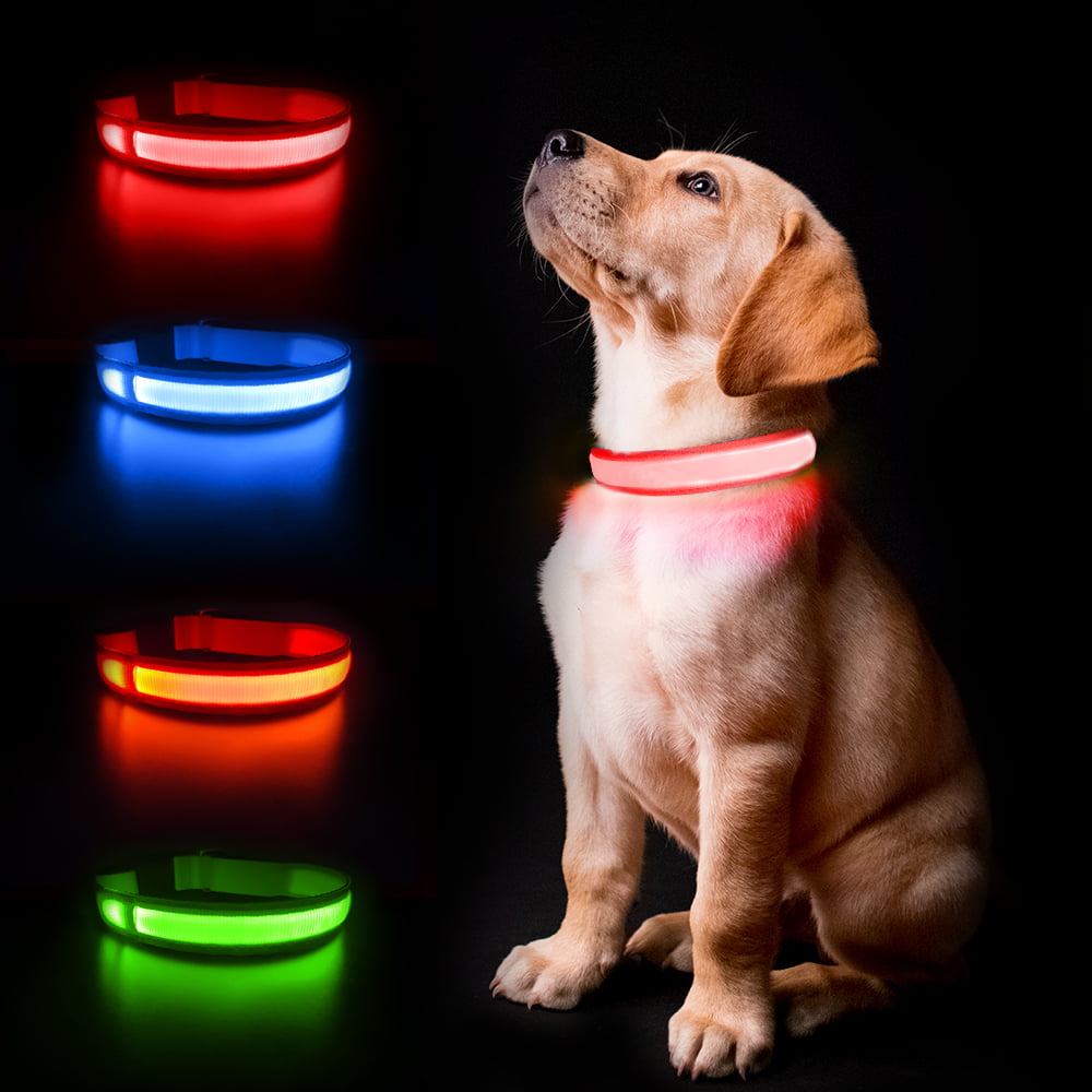 MASBRILL Light Up Dog Collar Pink with 100% Waterproof & USB Rechargeable 10 Hours Working Time
