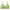 Green bras for women, variant on ATOYSOY Everyday Sports Bra Push Up Underwear Yoga Running Activewear Wirefree Workout Breathable Seamless Adjustable Bralette Comfy Bra Clearance Girls Teens Black L