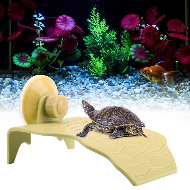 Plataforma para tomar el sol para tortugas, plataforma de plástico para tomar el sol para tortugas, isla flotante para tortugas Plataforma para tomar el sol para tortugas patrísticas Una experiencia