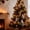 B, variant on Clearance Under $1.49 Simulation Plush Squirrel Pendant with Christmas Hat for Tree and Bag Decor
