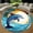 Dolphin, variant on Round Area Rug, Dragonfly4 Nature Pattern Non-Slip Floor Mat, Soft Washable Carpet for Living Room Bedroom Decor 31 Inch