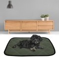 thumbnail image 3 of Fosa Car Summer Pet Mat, Pet Mat, Home For Dogs Cats, 3 of 8