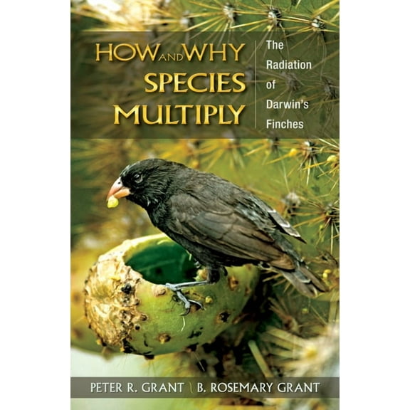 Princeton Evolutionary Biology How and Why Species Multiply: The Radiation of Darwin's Finches, (Paperback)