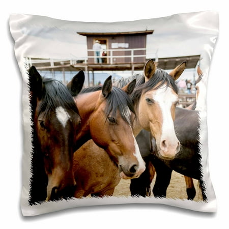 3dRose Taos, New Mexico, USA. Horses at a small town western rodeo. - Pillow Case, 16 by