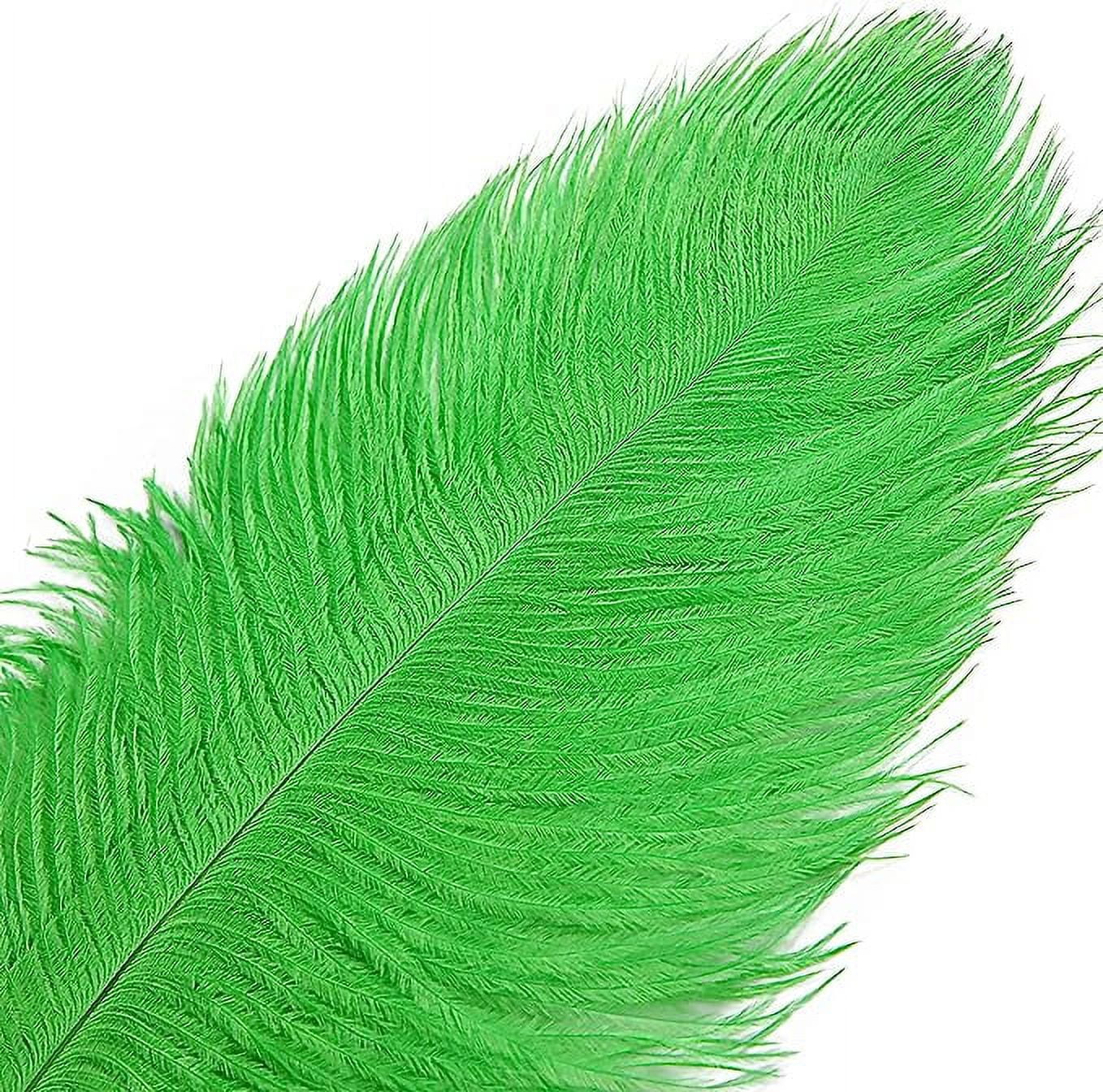 Nvzi 12pcs Green Ostrich Feathers Natural Bulk 16-18Inch 40cm-45cm for Wedding Party Centerpieces Easter Gatsby and Home Decorate Ostrich Feathers