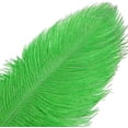 thumbnail image 3 of NAMZI 12pcs Green Bulk Natural Ostrich Feathers 16-18Inch (40cm-45cm), Perfect for Wedding, Party Centerpieces, Easter & Home Decoration, 3 of 4