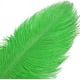 thumbnail image 2 of Xiao Hua Plumas de avestruz verdes, 12 unidades, grandes, naturales, a granel, de 30 a 35 cm, para centros de mesa de bodas, fiestas, Pascua, Gatsby y decoración del hogar., 2 of 4