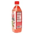 thumbnail image 2 of OKF Farmer's Aloe Vera Drink, Pomegranate, 16.9 Fluid Ounce (Pack of 12), 2 of 2