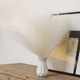 thumbnail image 3 of Pampas Grass Decor 18" Tall, Pink Pompas Floral Fake Pampas Grass, Artificial Pampas Grass Vase Filler Pompous Grass Branches Plants for Home Kitchen Boho Decor (10 Pcs), 3 of 8