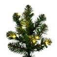 thumbnail image 3 of Vickerman 18' x 86" Artificial Pre-Lit Slim Grand Teton Frame Tree, with LED Warm White 5mm Single Mold Lights, 3 of 5