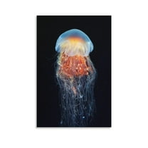 Lion's Mane Jellyfish Cyanea Capillata The Largest Jellyfish Gifts Canvas Painting Poster Wall Art Decorative Picture Prints Modern Decor 20x30inch(50x75cm)