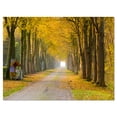 thumbnail image 2 of Country Road Below Yellow Trees - Landscape Photography Canvas Print, 2 of 3