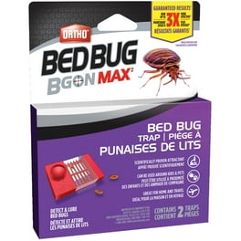 Insecticide Raid pour punaises de lit, tue les punaises de lit et