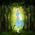 thumbnail image 4 of Orion Costumes Traditional Alice Adult Costume Xxx-large Female, 4 of 7