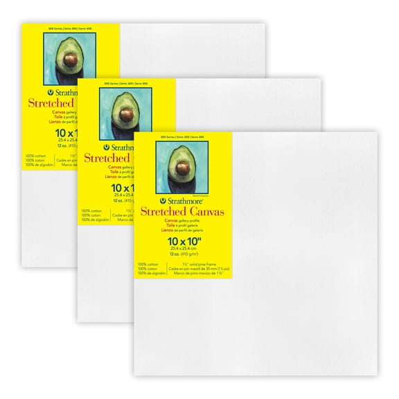 Strathmore 300 Series Gallery Stretched Canvas, 10x10 inch, 3 Count
