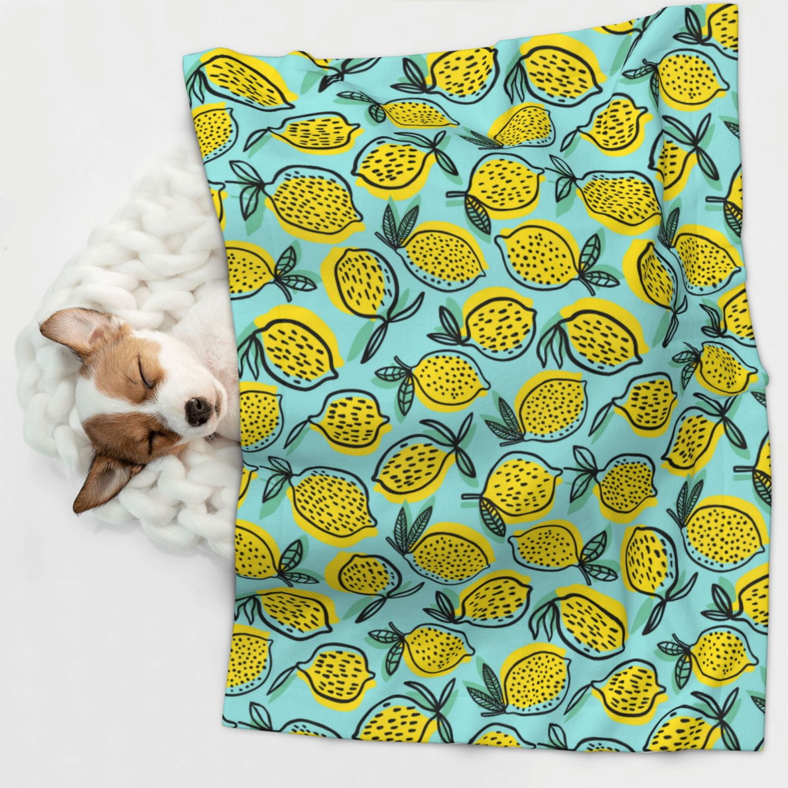 Naloa Lemon1 Dog Blanket, 3 Sizes Cat Blanket for Indoor Cats Large Medium Small Dog Gifts-Small