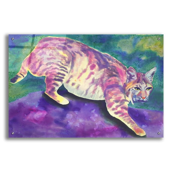 Epic Art 'Bobcat' by Carissa Luminess, Acrylic Glass Wall Art, 36"x24"