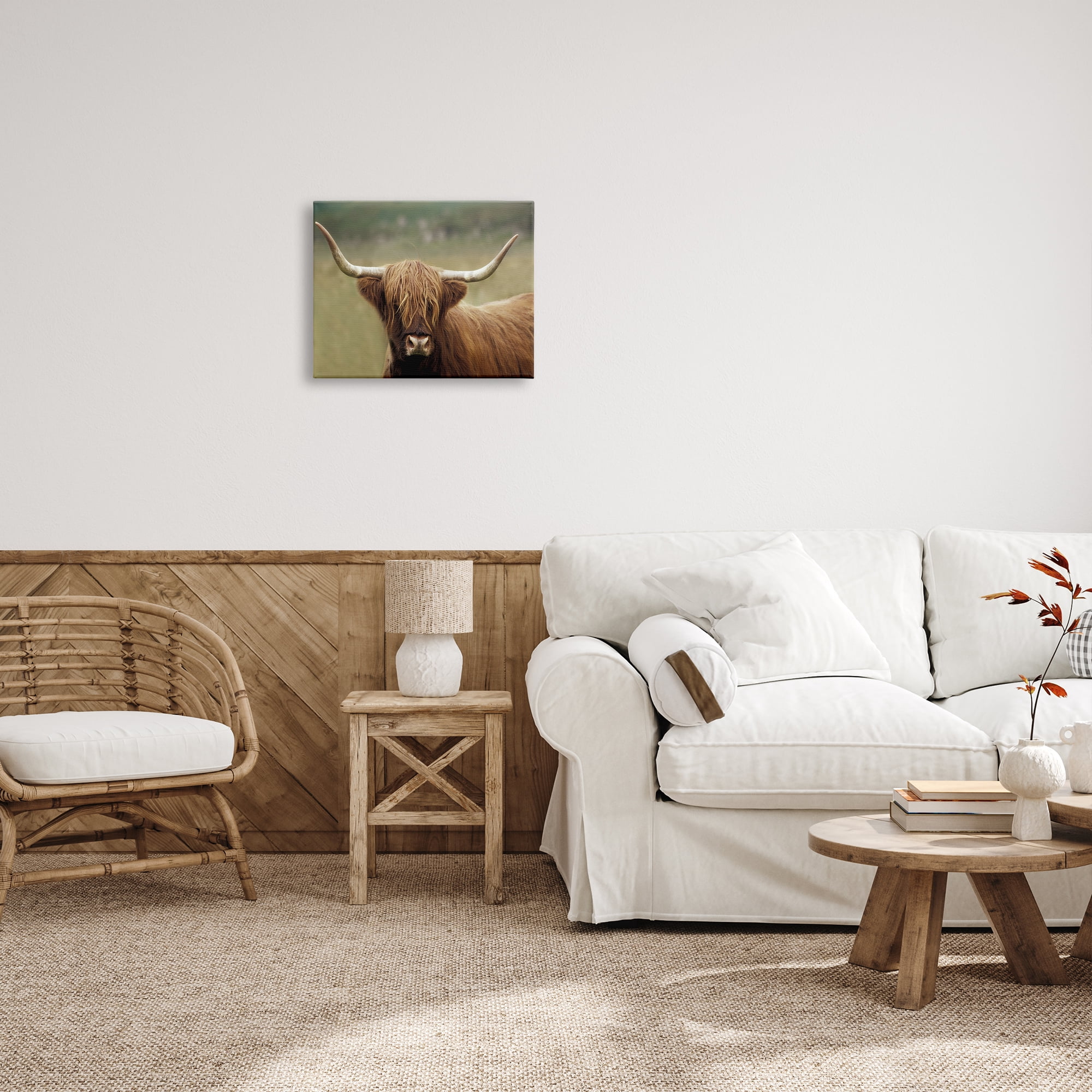 Stupell Industries Highland Cattle Shaggy Hair Country Animal Portrait Photography, 20 x 16, Design by Danita Delimont