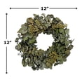 thumbnail image 5 of Maklaine 30" Preserved Decorative Real Eucalyptus Wreath in Green, 5 of 5