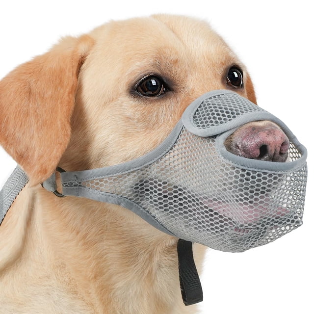 Museau pour Chien en Maille Brevetée Gris JP, Taille g - Protège-Dents Doux pour Grands, Moyens et Petits Chiens, Empêche de Mordre, Mâcher, Manger, Ouverture Frontale Permettant de Boire et de Haleter