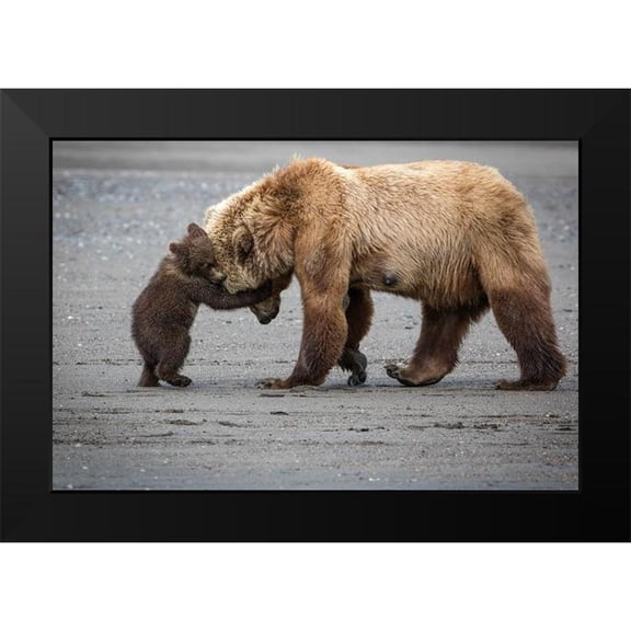 Doyle, Renee 14x11 Black Modern Framed Museum Art Print Titled - A Little Bear Hug