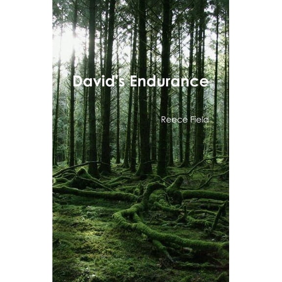 David's Endurance, (Hardcover)