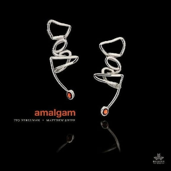 Perelman,Ivo / Shipp,Matthew - Amalgam - Music & Performance - CD