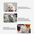 thumbnail image 3 of Interactive Cat Wand Toy Cat Wand Feather Toy  Feather Cat Teaser Stick Interactive Fun Handheld Cat Teaser Wand Toy With Suction Cup For Indoor  Fun Handheld Feather, 3 of 8
