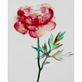thumbnail image 2 of Boho Hue Studio 26x31 White Modern Wood Framed Museum Art Print Titled - Red Peony, 2 of 4