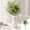 White, variant on Artificial Plants Olive Branch in Glass Vase, 15.35" Fake Plant Greenery Stems with Olive Branches Faux Eucalyptus Stems, for Centerpieces Decoration,Home Decor,Coffee Table Decor