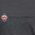 thumbnail image 3 of CafePress - Triangle Colored Coat Of Ar Women's Deluxe T Shirt - Womens Tri-blend T-Shirt, 3 of 4