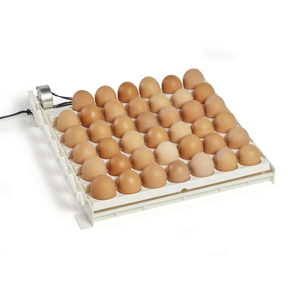 Farm Innovators 41-Egg Capacity 120V Automatic Egg Turner 3200