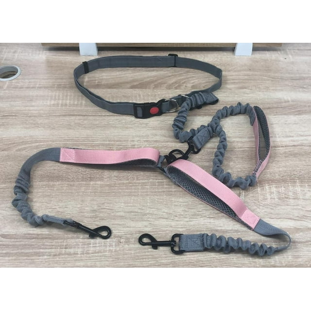 Laisse pour Chien Mains Libres avec Poche Zippée, Double Poignée Rembourrée et Élastique Durable pour Promenade, Jogging et Course pour Chats et Chiens