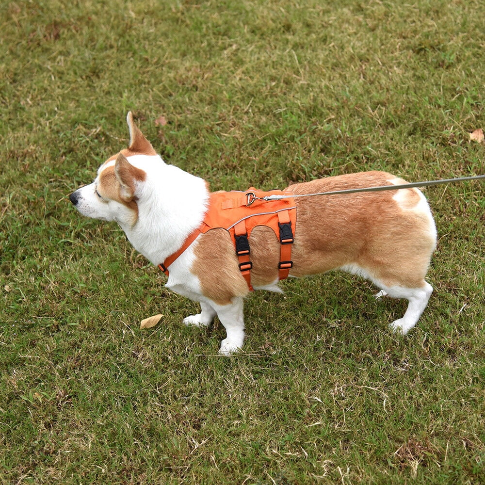 Pet Artist No Pull Dog Harness Escape Proof Reflective Adjustable Sport Vest with Handle Waterproof