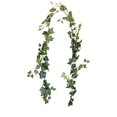 thumbnail image 1 of Simulation Rattan 1.8m Ivy Simulation Plant Window Wall Simulation Plant Green Rattan, 1 of 6