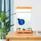 thumbnail image 3 of Pecera Betta de cristal giratoria de , Base de bambú, Mini pecera, decoración, pecera giratoria, accesorios para acuario Yuyangstore Mini acuario de escritorio, 3 of 8