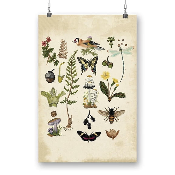 Drawings Of The Forest Poster - Naomi McCavitt Designs,