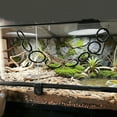 thumbnail image 4 of Reptile Climbing Loops,Eight Rings Snake Climbing Rings for Ball Python | Terrarium Habitat Decor | Snakes Tank Accessories for Climb Toys, 4 of 6