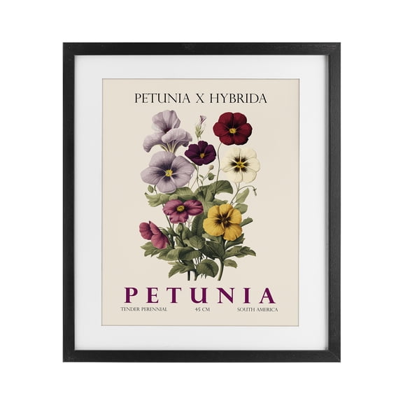 Stupell Industries Natural Petunia Bundle Black Framed Print Under Glass, design by Christopher Giampietro