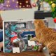 thumbnail image 2 of Calendario de Adviento de Navidad 2024 Yangshaomei 24 piezas bolas de plumas cascabeles juguetes para gatos, 2 of 4