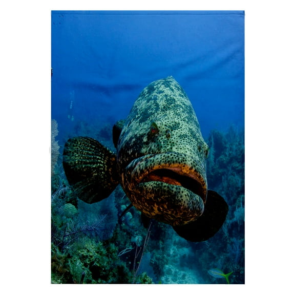 3dRose, Atlantic Goliath Grouper, Jardines de la Reina NP, Cuba, Caribbean, 22x30 Bath Hand Pool Towel