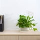 thumbnail image 2 of Heaveant Riego automático de Plantas, riego automático, Plantas de Flores en Forma de Mariposa, riego automático, decoración de Ayuda para jardinería, 2 of 5