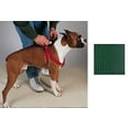 thumbnail image 1 of Guardian Gear Coordinating Nylon Dog Collars Leads & Harnesses for Dogs Choose Sizes & Colors(9 to 15 x 3/8 Inch Harness - Hunter Green), 1 of 1