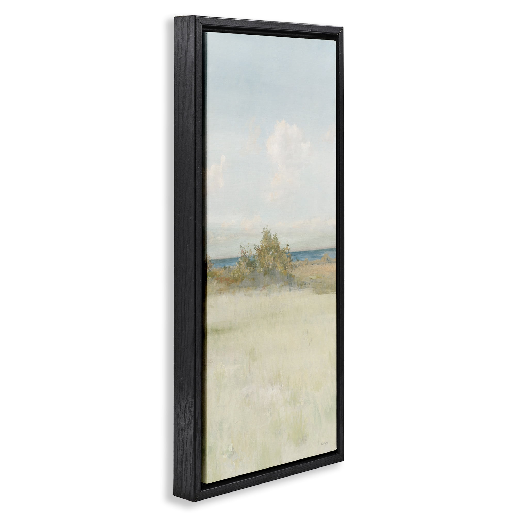 Stupell Industries Vegetation on Beach Landscape Painting Black Floater Framed Canvas Art Print Wall Art, 11 x 25