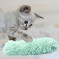 thumbnail image 6 of 9.44 x 3.93 x 1.18 inch Plush Cat Toy with Catnip and Crinkle Paper Sound Chew Resistant for Playful Entertainment and Hunting Instinct Stimulation (Green), 6 of 6